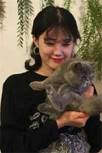 豪门：谁说总裁他不近女色小说全文免费阅读