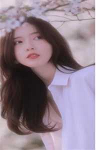 高质量小说宫斗：娘娘出身卑微，却是后宫独宠